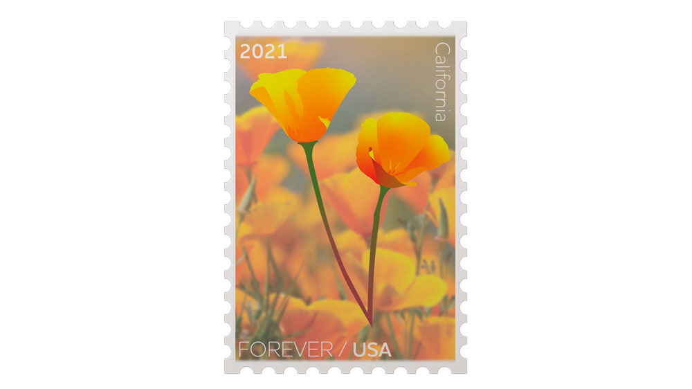 Poppy Stamp