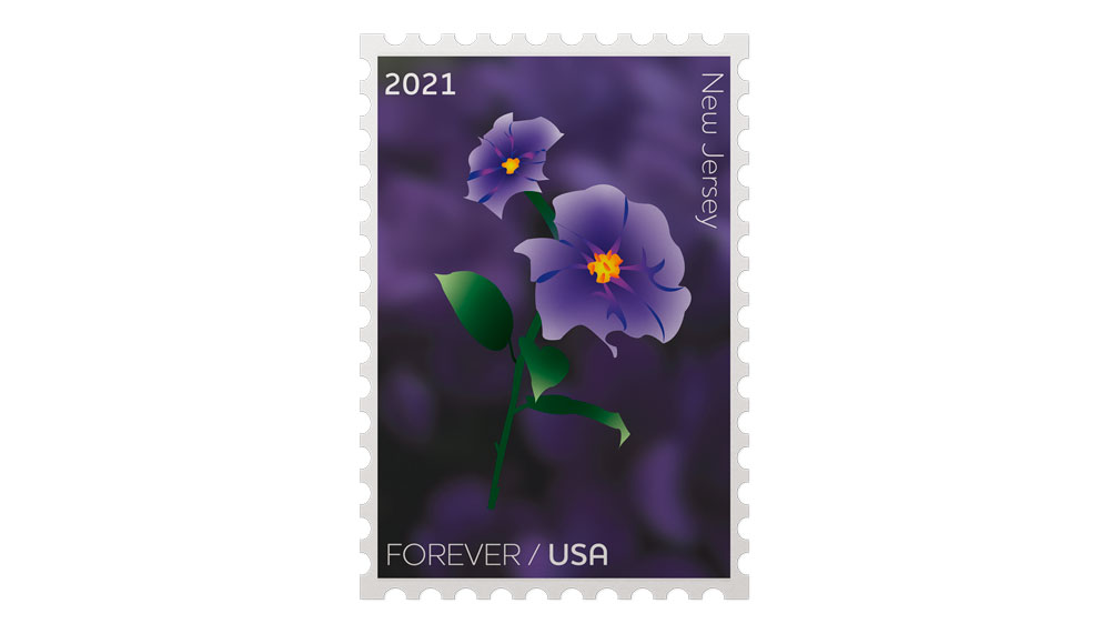 Violet Stamp